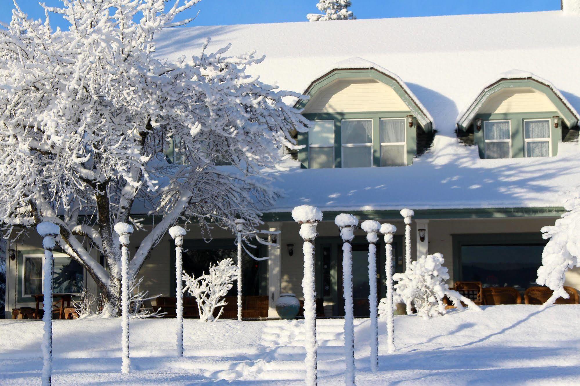 Mount Shasta Ranch Bed And Breakfast Dış mekan fotoğraf